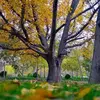 نمونه کار عکاسی مناظر توسط کریمی، ثبت شده در 2020-05-09