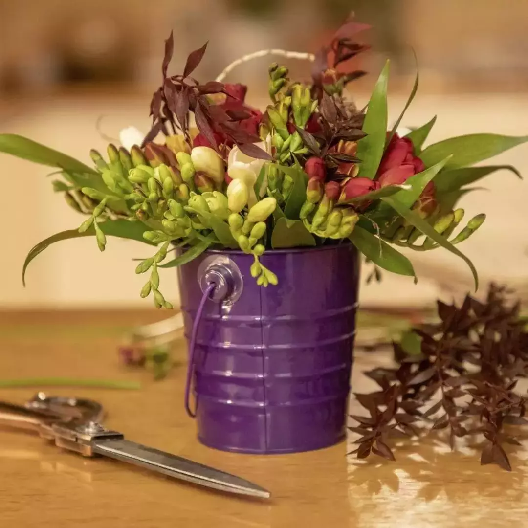 نمونه کار عکاسی ریحانه عسگری