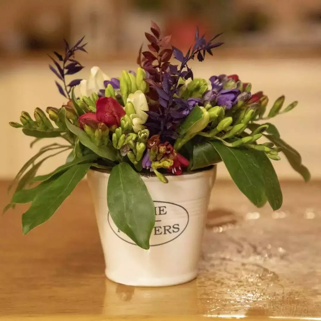 نمونه کار عکاسی ریحانه عسگری