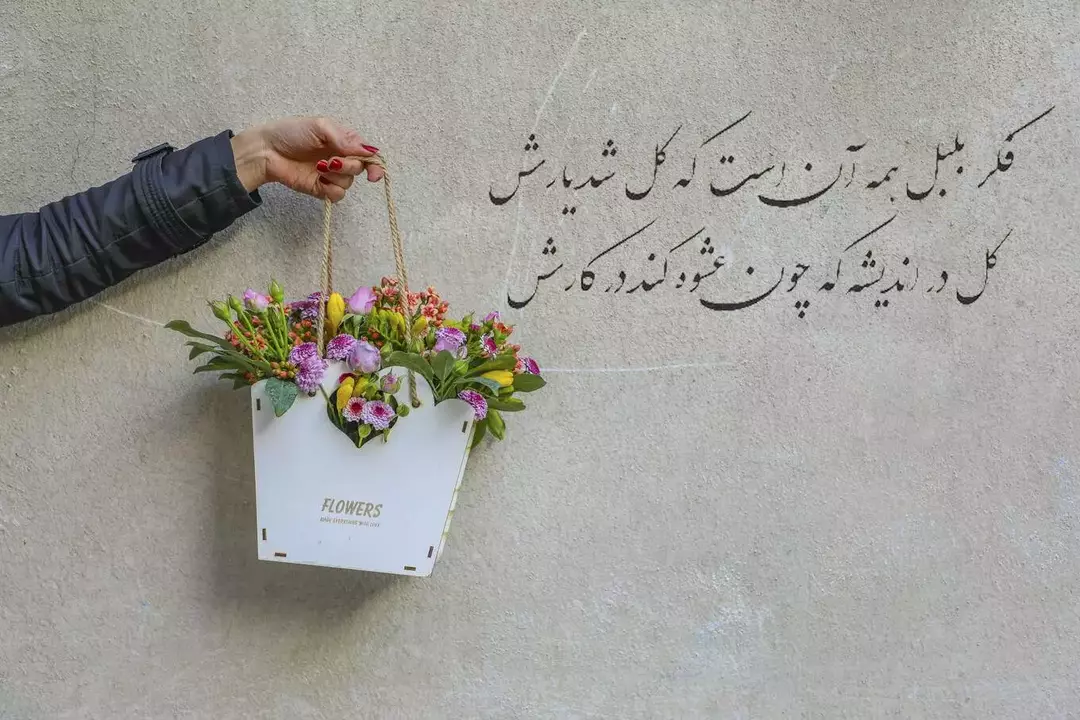 نمونه کار عکاسی ریحانه عسگری