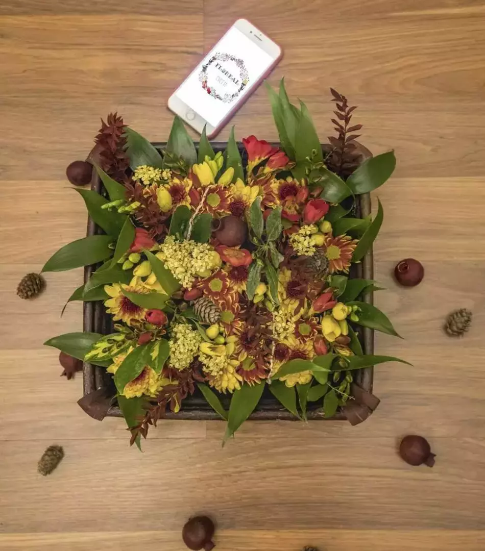 نمونه کار عکاسی ریحانه عسگری