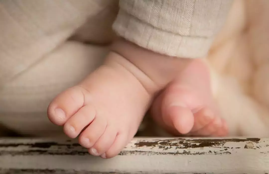 نمونه کار عکاسی نسیم ریاضتی