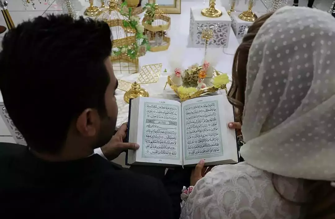 نمونه کار عکاسی ریحانه فخاریان