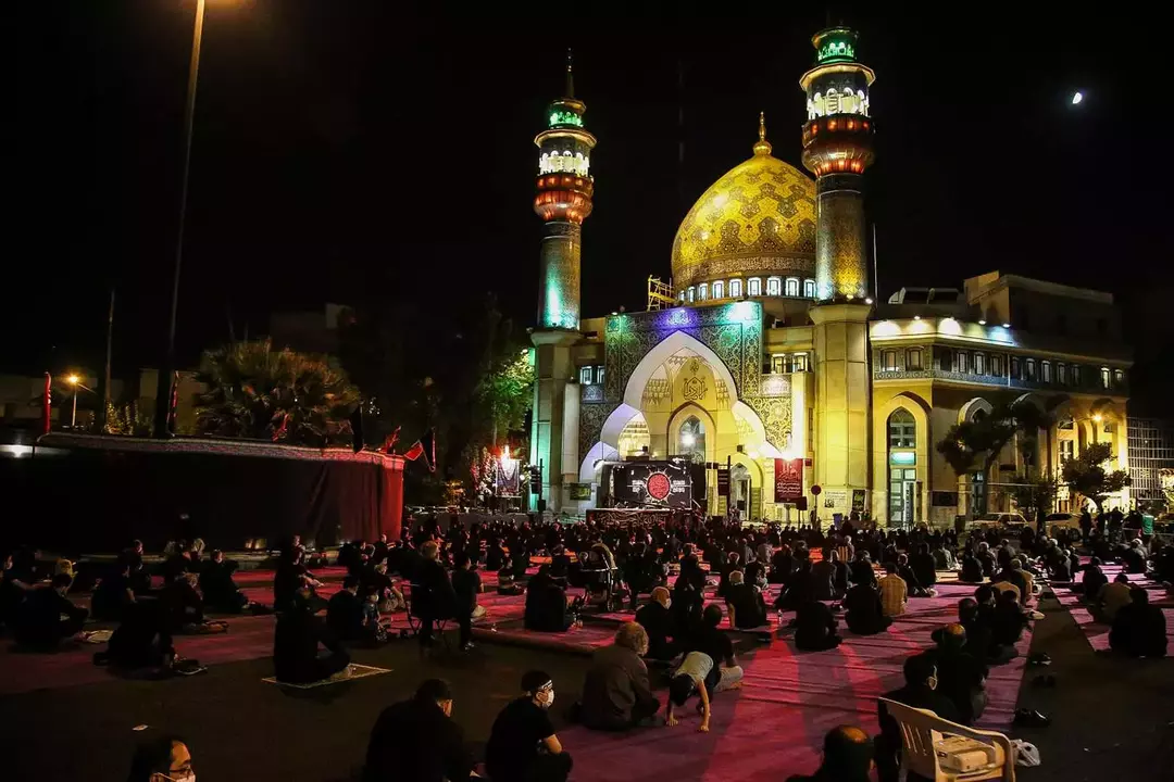 نمونه کار عکاسی فائزه حمیدیا
