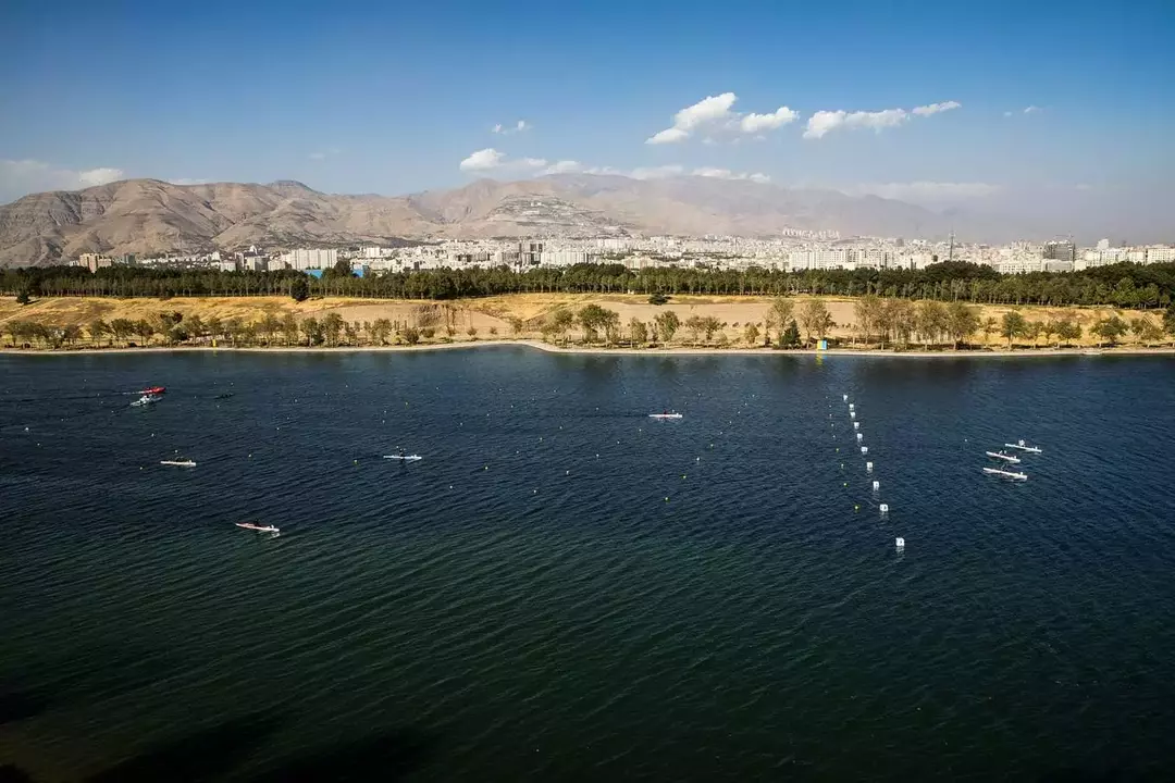 نمونه کار عکاسی ورزشی توسط حمیدیا که در تاریخ 1399-07-07 ** دوشنبه  **  ساعت 01:20PM بارگذاری شده است.