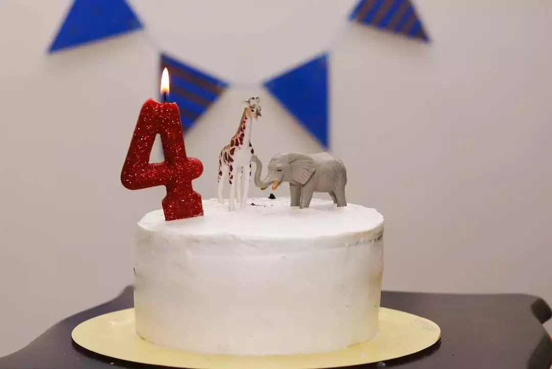 نمونه کار عکاسی ساناز همتی