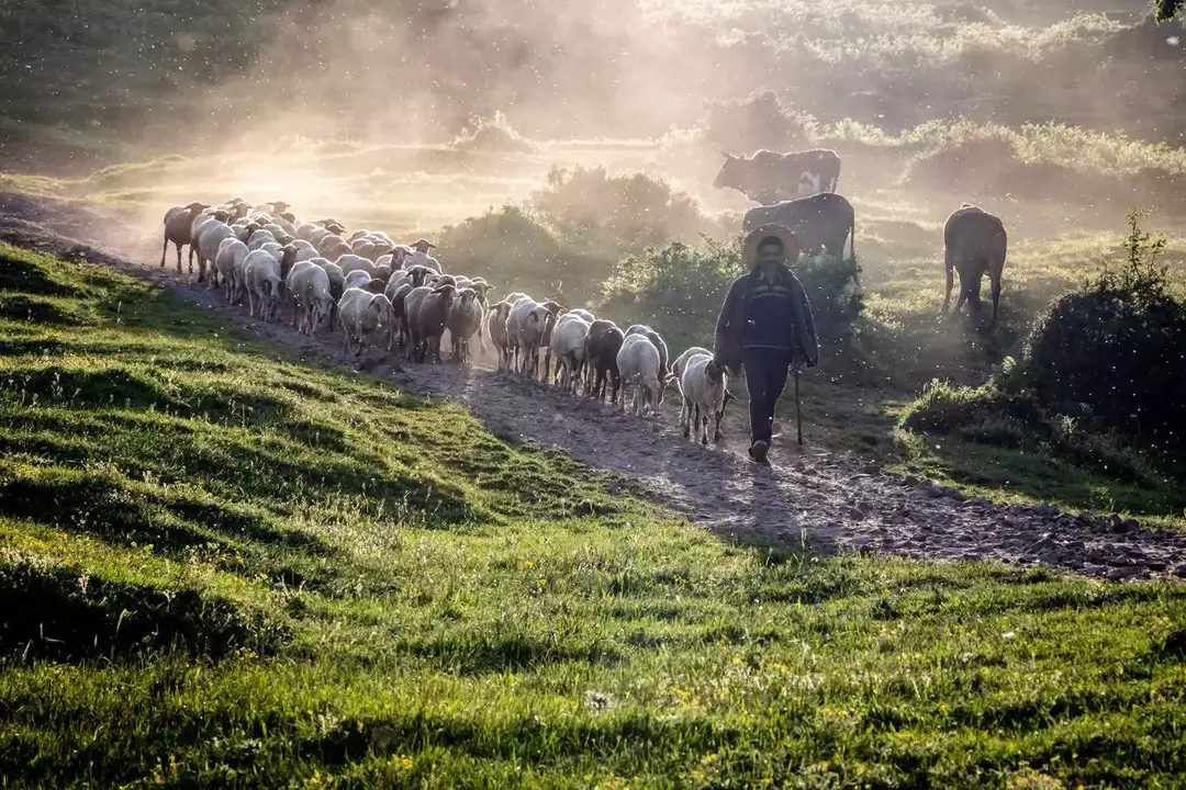 نمونه کار عکاسی ناصر ایرجی