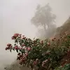 نمونه کار عکاسی مناظر توسط کریمی، ثبت شده در 2020-12-04
