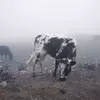 نمونه کار عکاسی مناظر توسط کریمی، ثبت شده در 2020-12-04