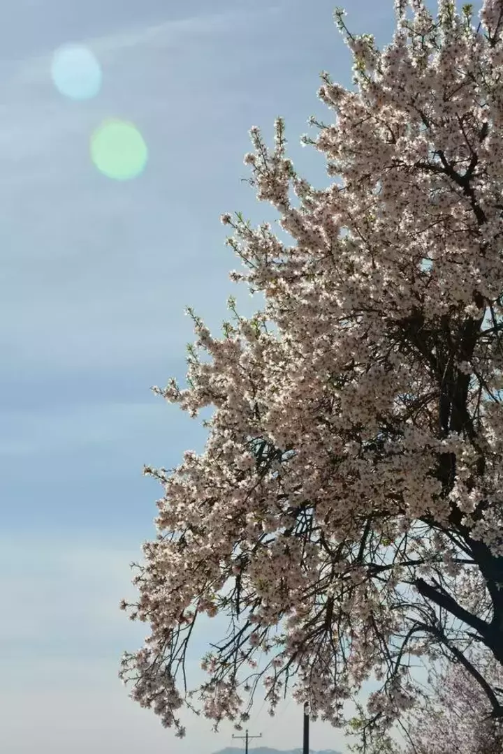 عکاسی مناظر از سمیه صدیق