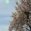 نمونه کار عکاسی مناظر توسط صدیق، ثبت شده در 2020-12-07
