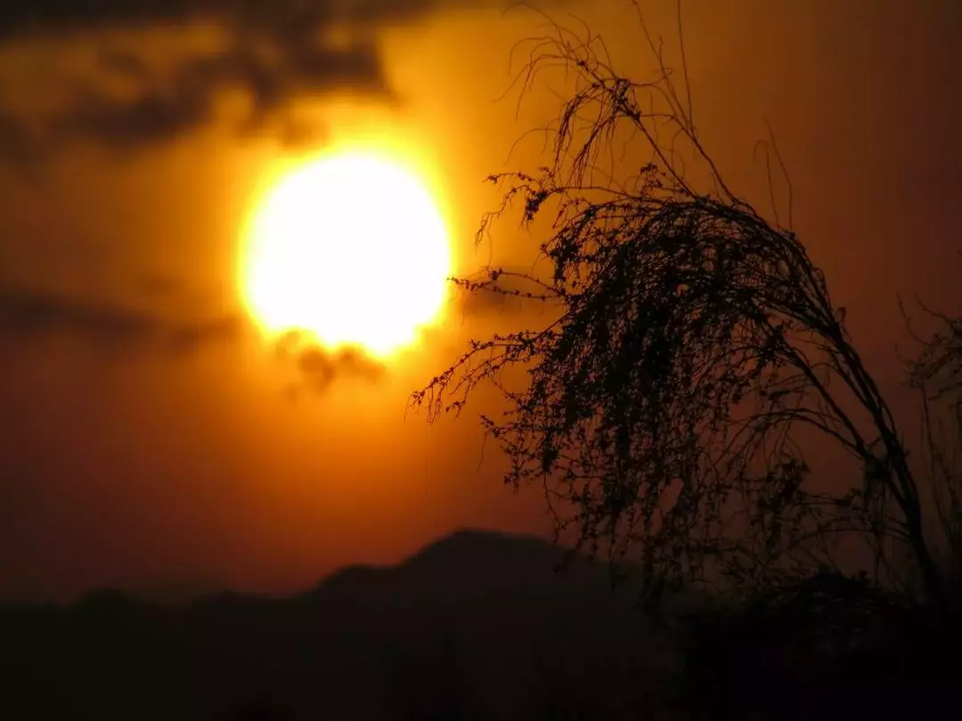 عکاسی مناظر از سمیه صدیق
