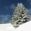 نمونه کار عکاسی مناظر توسط صدیق، ثبت شده در 2020-12-07