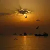 نمونه کار عکاسی مناظر توسط صدیق، ثبت شده در 2020-12-07