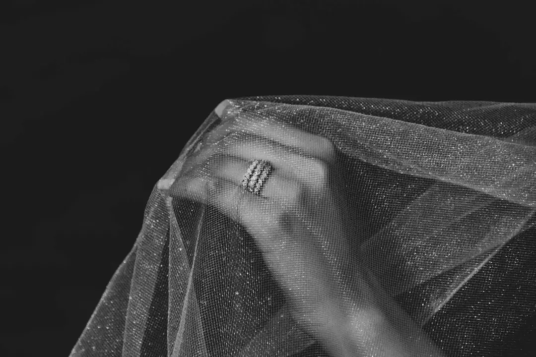 نمونه کار از پریسا تیمورزاده