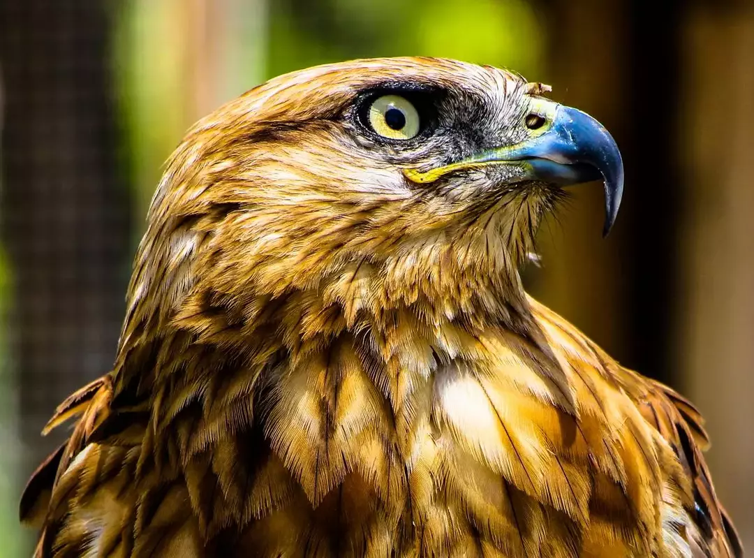 نمونه کار عکاسی غیره توسط بهره مند که در تاریخ 1399-11-29 ** چهارشنبه  **  ساعت 08:50PM بارگذاری شده است.