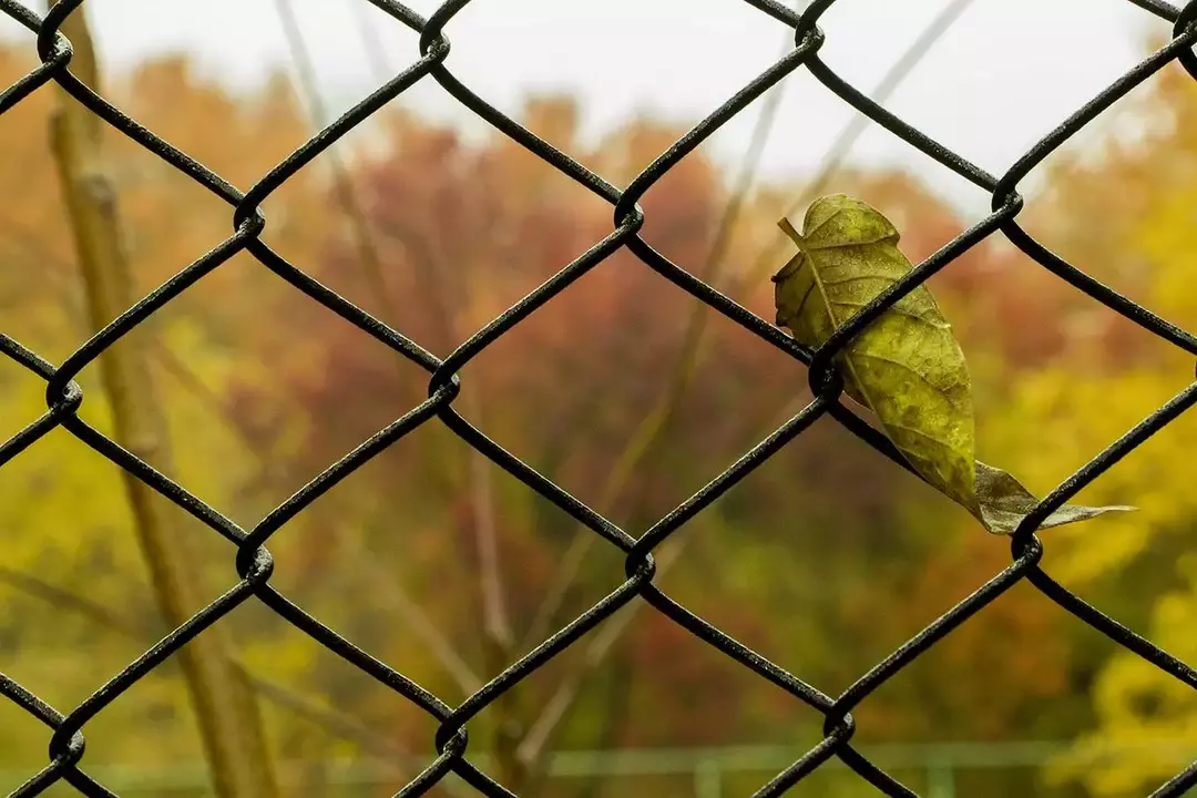 نمونه کار عکاسی مناظر توسط بهره مند که در تاریخ 1399-11-29 ** چهارشنبه  **  ساعت 09:00PM بارگذاری شده است.