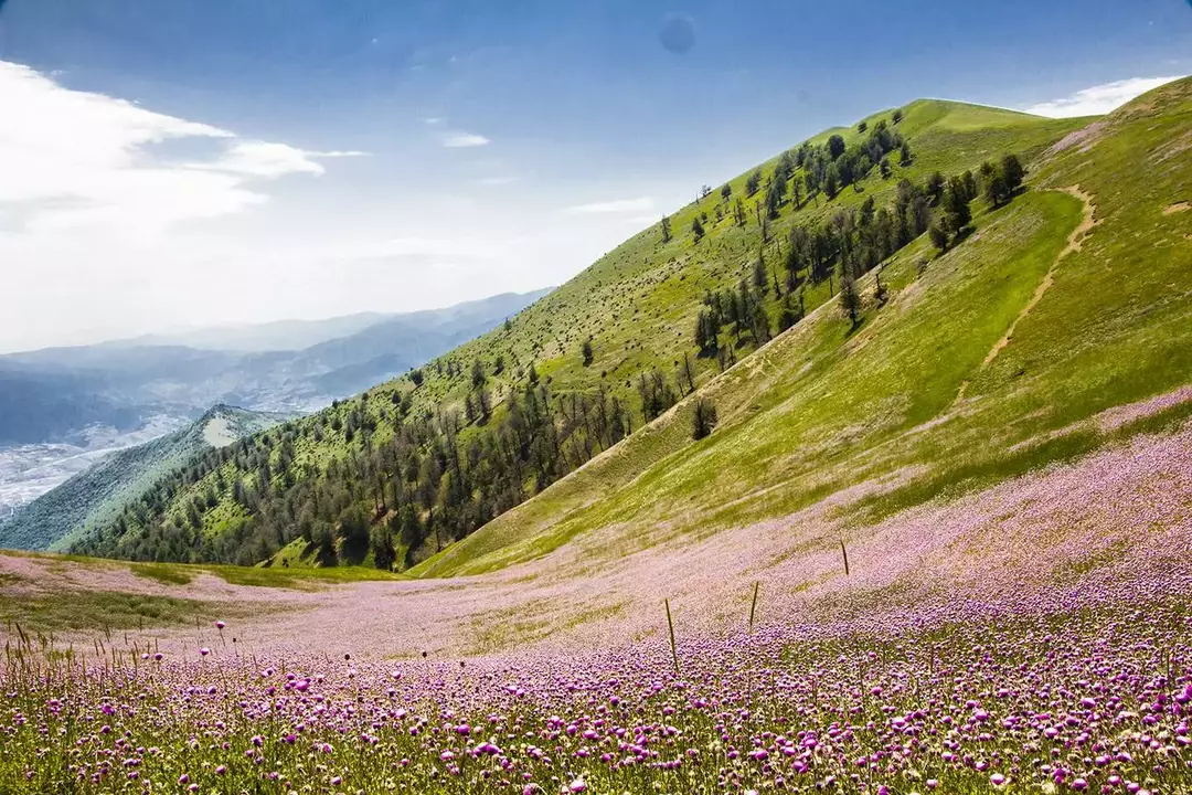 نمونه کار عکاسی مناظر توسط بهره مند که در تاریخ 1399-11-29 ** چهارشنبه  **  ساعت 09:00PM بارگذاری شده است.