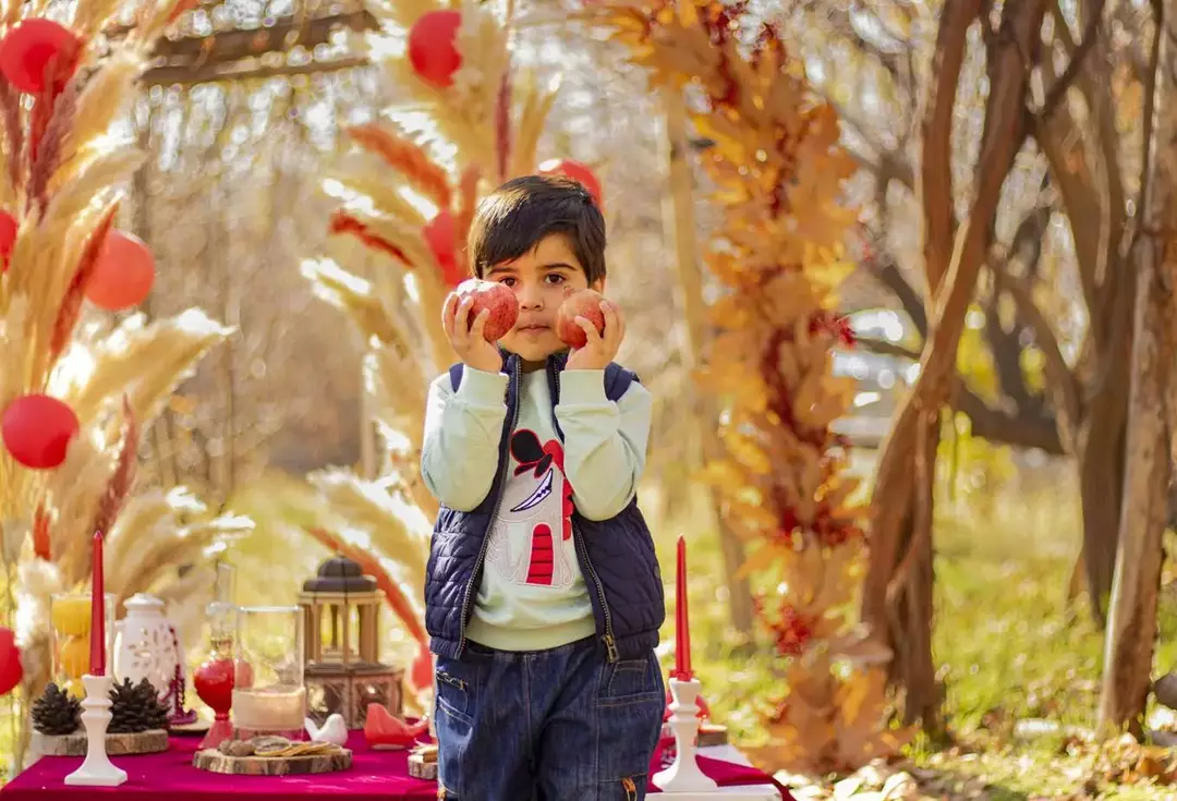 نمونه کار عکاسی پروین  مقصودیان