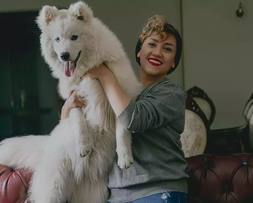 نمونه کار عکاسی حیوانات خانگی توسط عسگری که در تاریخ 1400-01-15 ** یک‌شنبه  **  ساعت 01:59PM بارگذاری شده است.