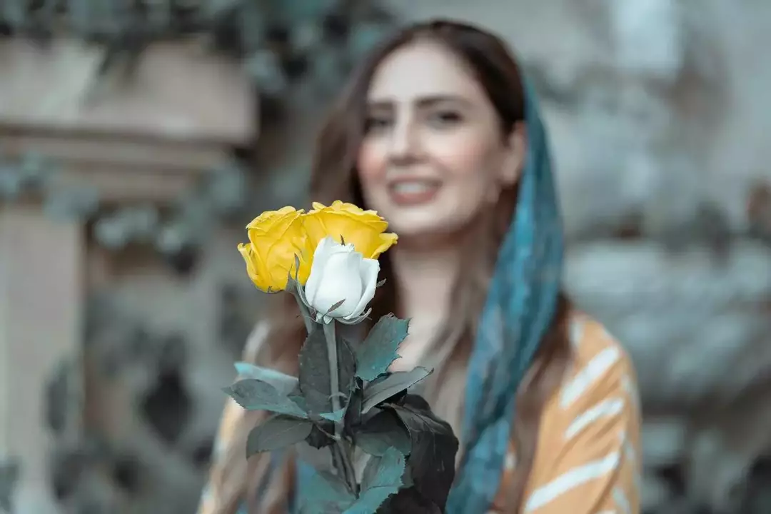نمونه کار عکاسی برنا کلیشادی