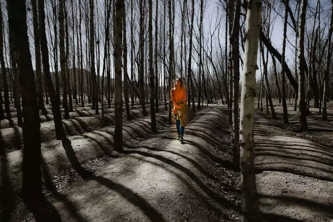 نمونه کار عکاسی سواک آلکساندریان