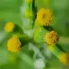 نمونه کار عکاسی مناظر توسط پورمهر، ثبت شده در 2021-04-12