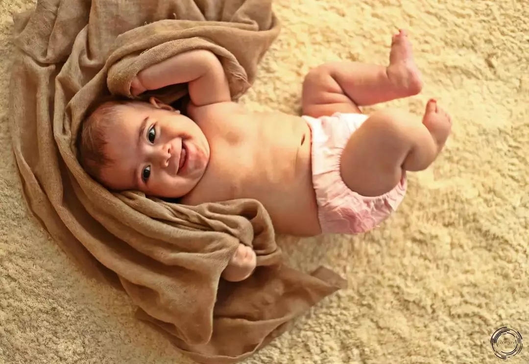 نمونه کار