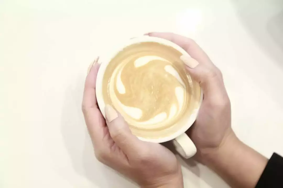 نمونه کار