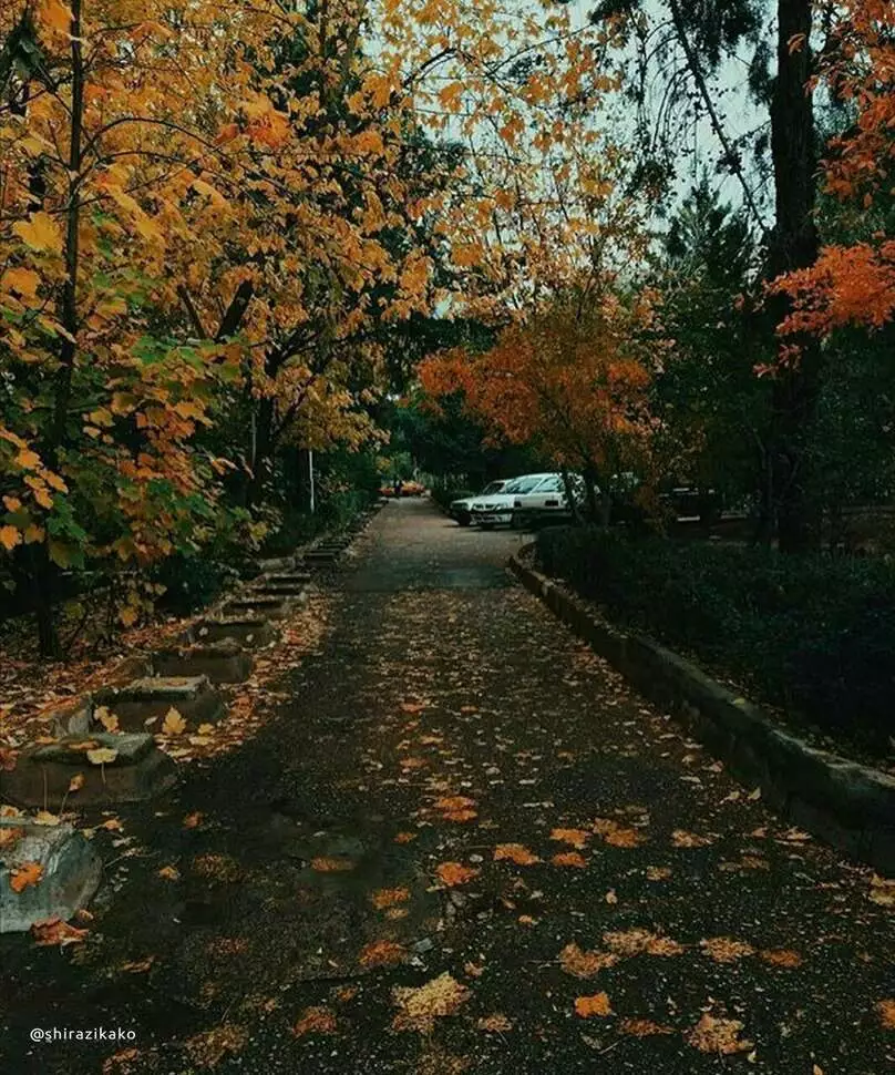 عکس کوچه باغ های قصر دشت