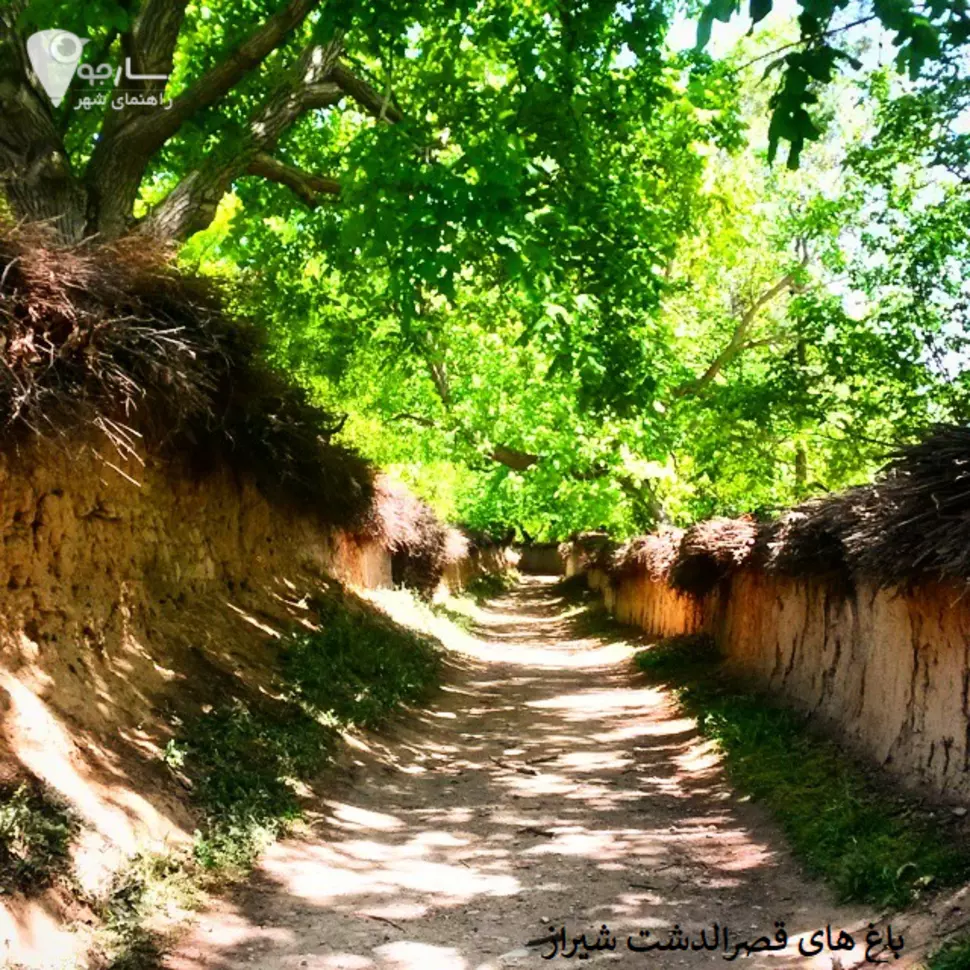 عکس کوچه باغ های قصر دشت