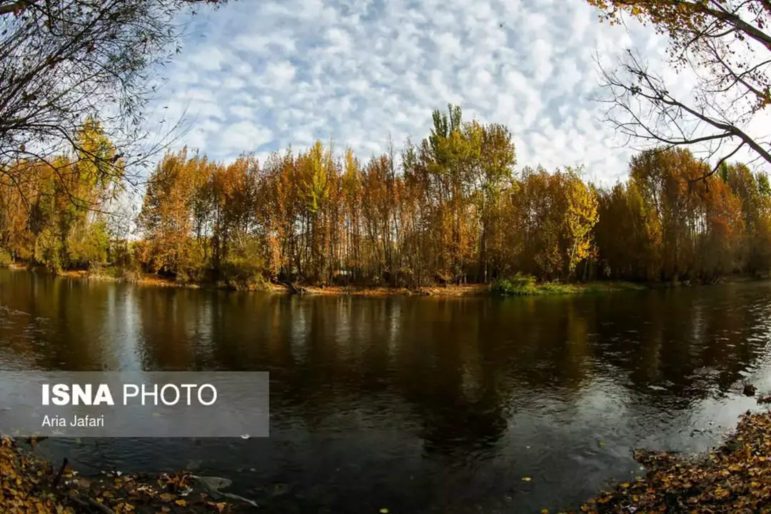 باغ بهادران