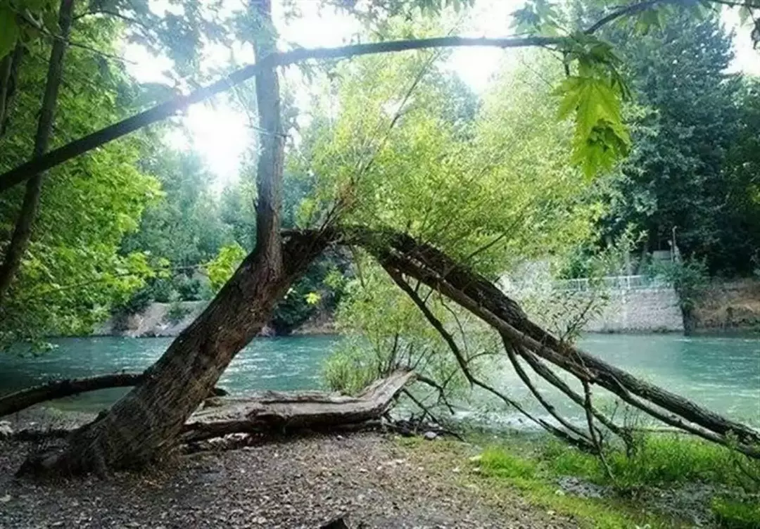 باغ بهادران