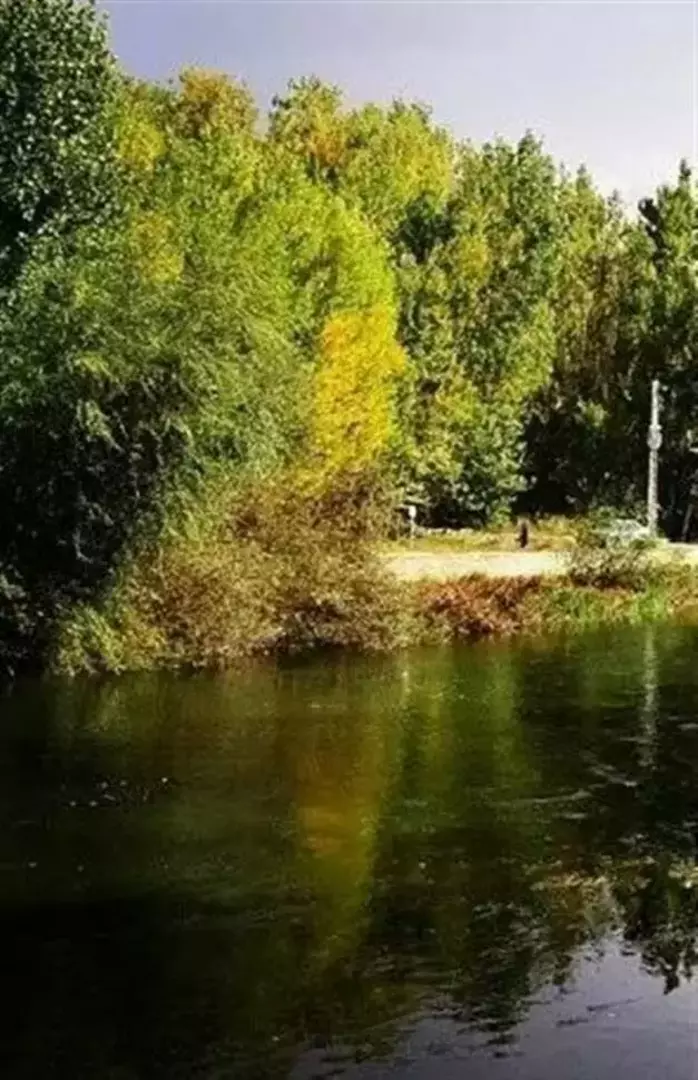 باغ بهادران