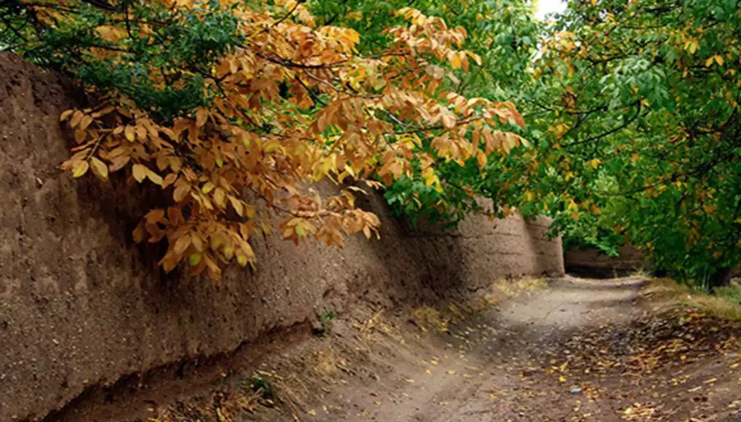 باغ بهادران