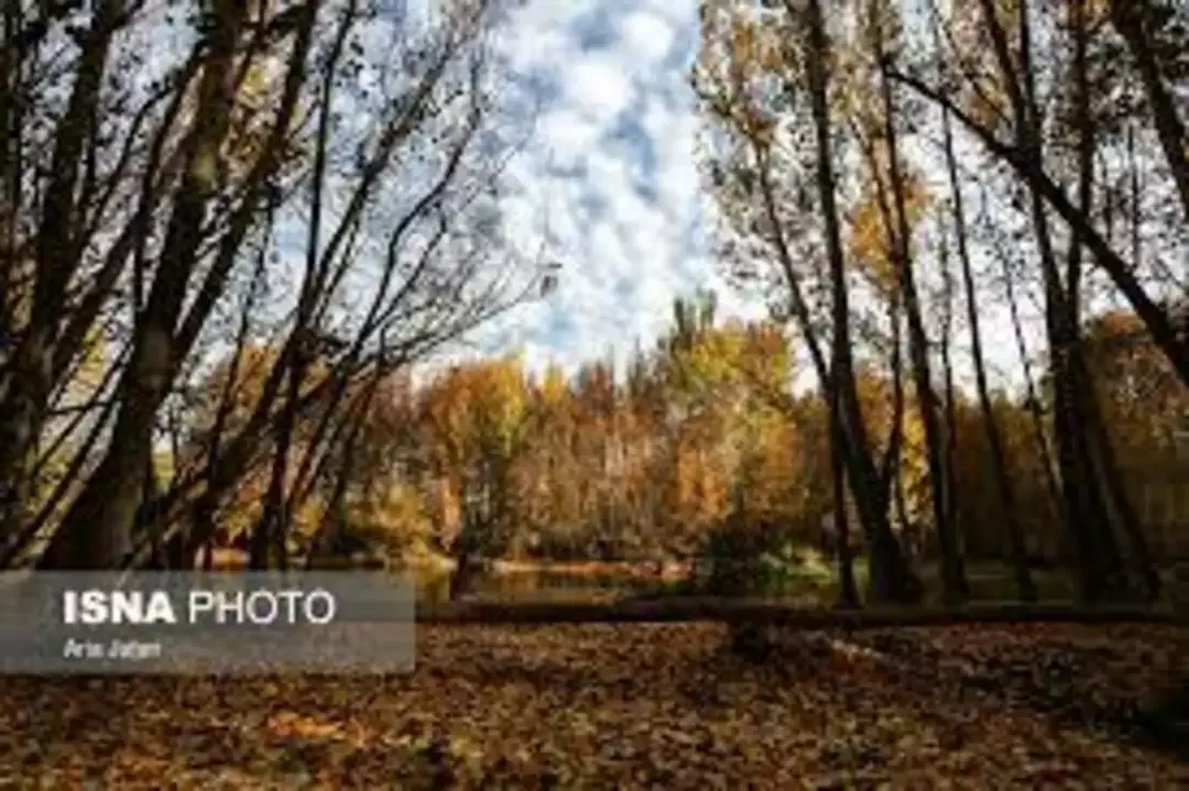 باغ بهادران