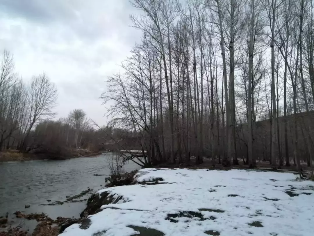 باغ بهادران