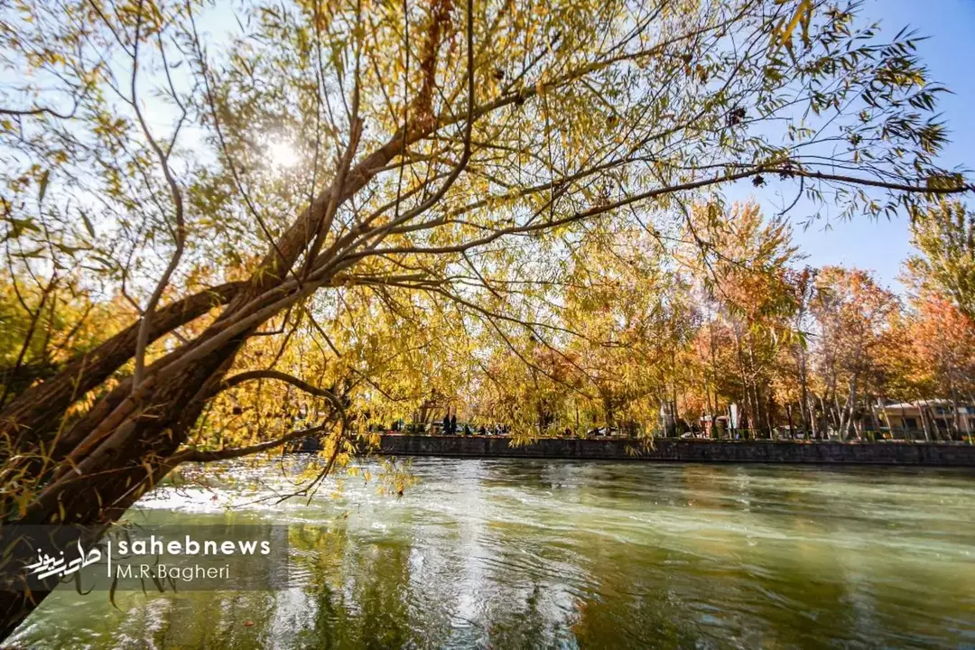 باغ بهادران