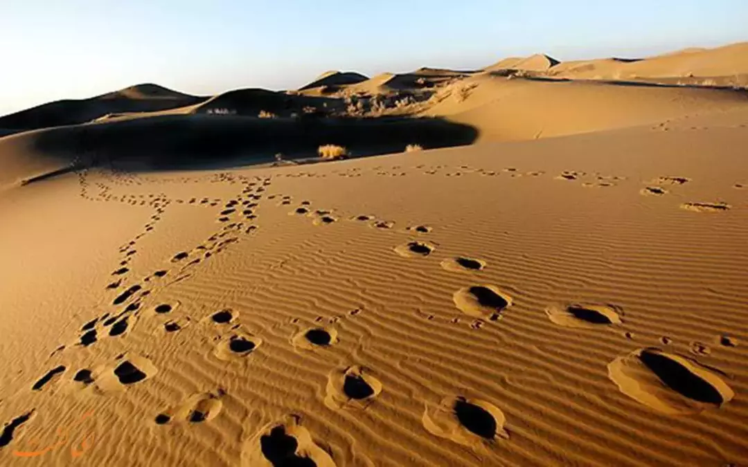 کویر ورزنه/ کویر خارا