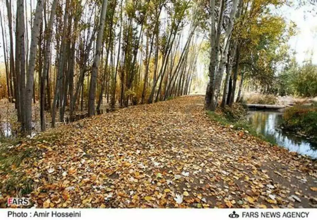 منطقه جنگلی ناژوان