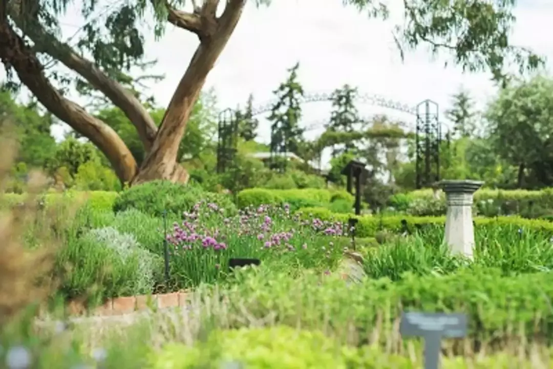 منطقه جنگلی ناژوان