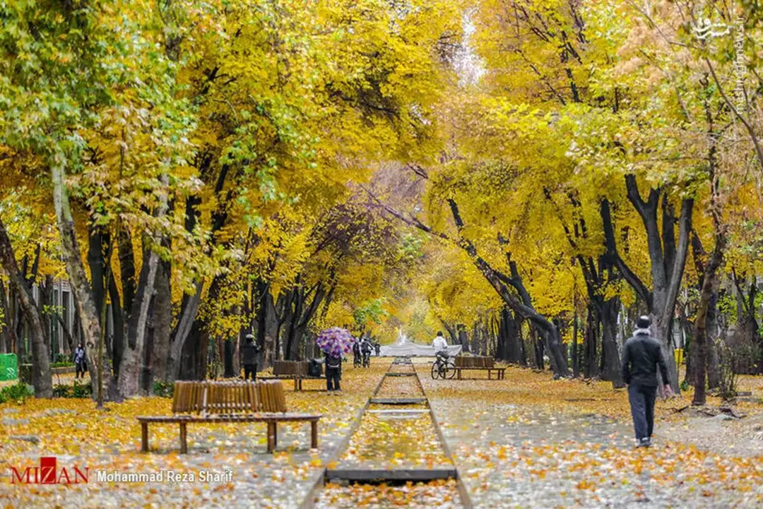 خیابان چهارباغ عباسی