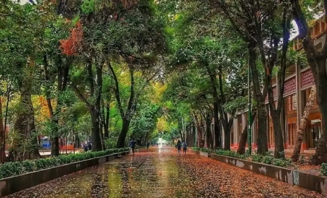 خیابان چهارباغ عباسی