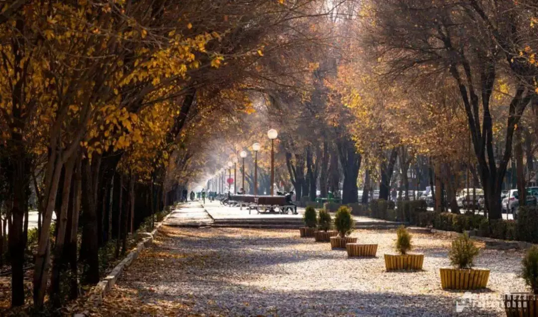 خیابان چهارباغ عباسی