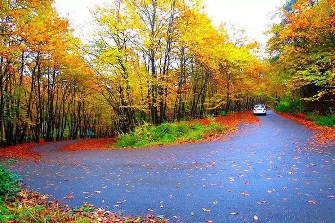 پارک جنگلی سراوان