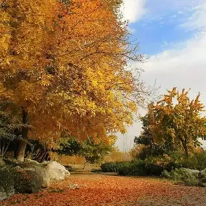  باغ گیاه شناسی ملی ایران