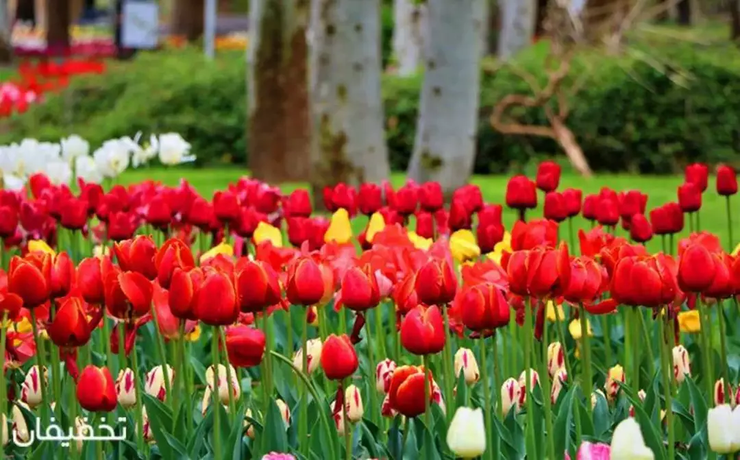 باغ گیاه شناسی ملی ایران