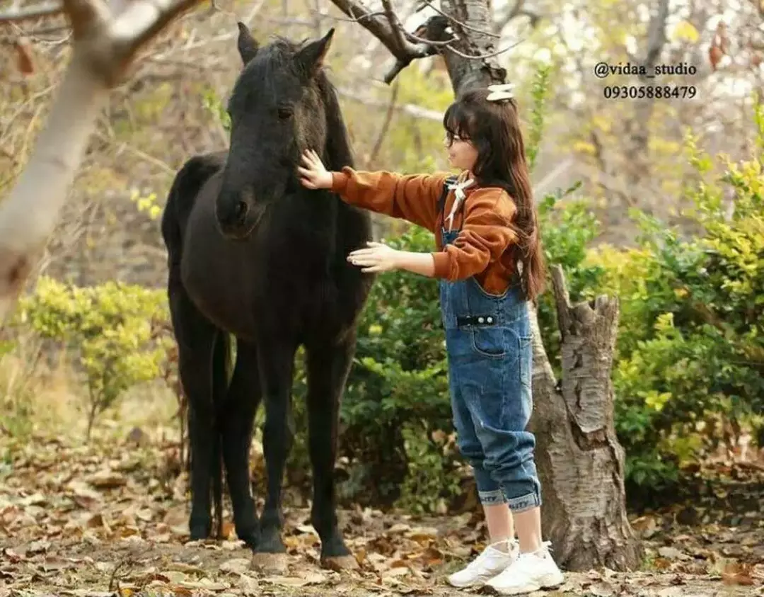 باغ عمارت ویدا