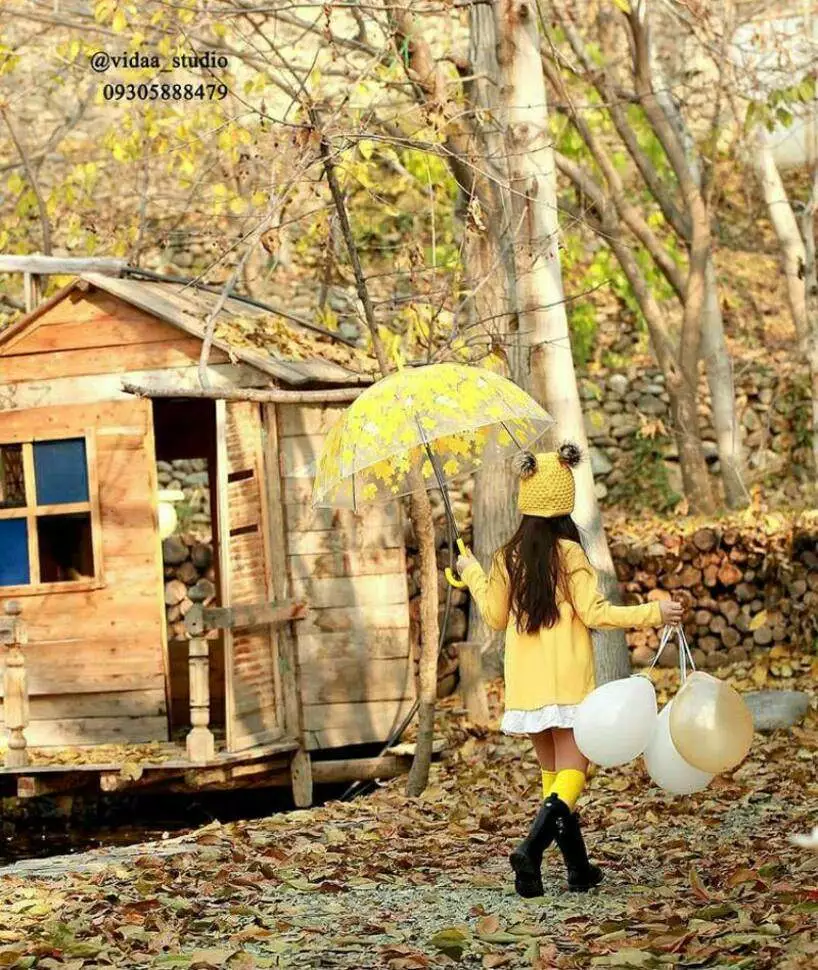عکس باغ عمارت ویدا