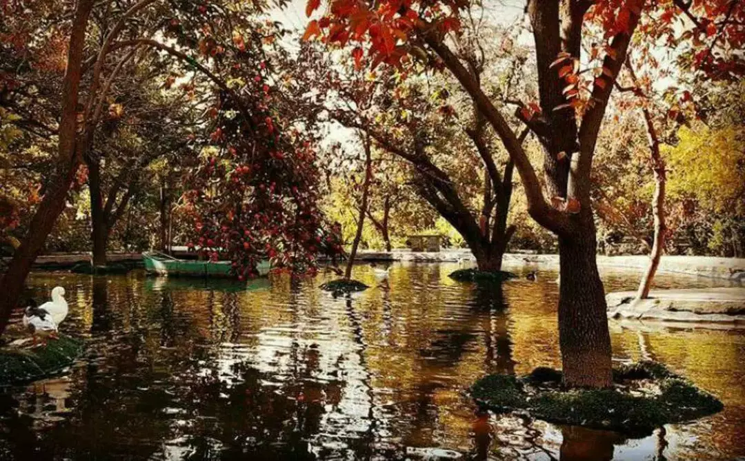 باغ عمارت ویدا